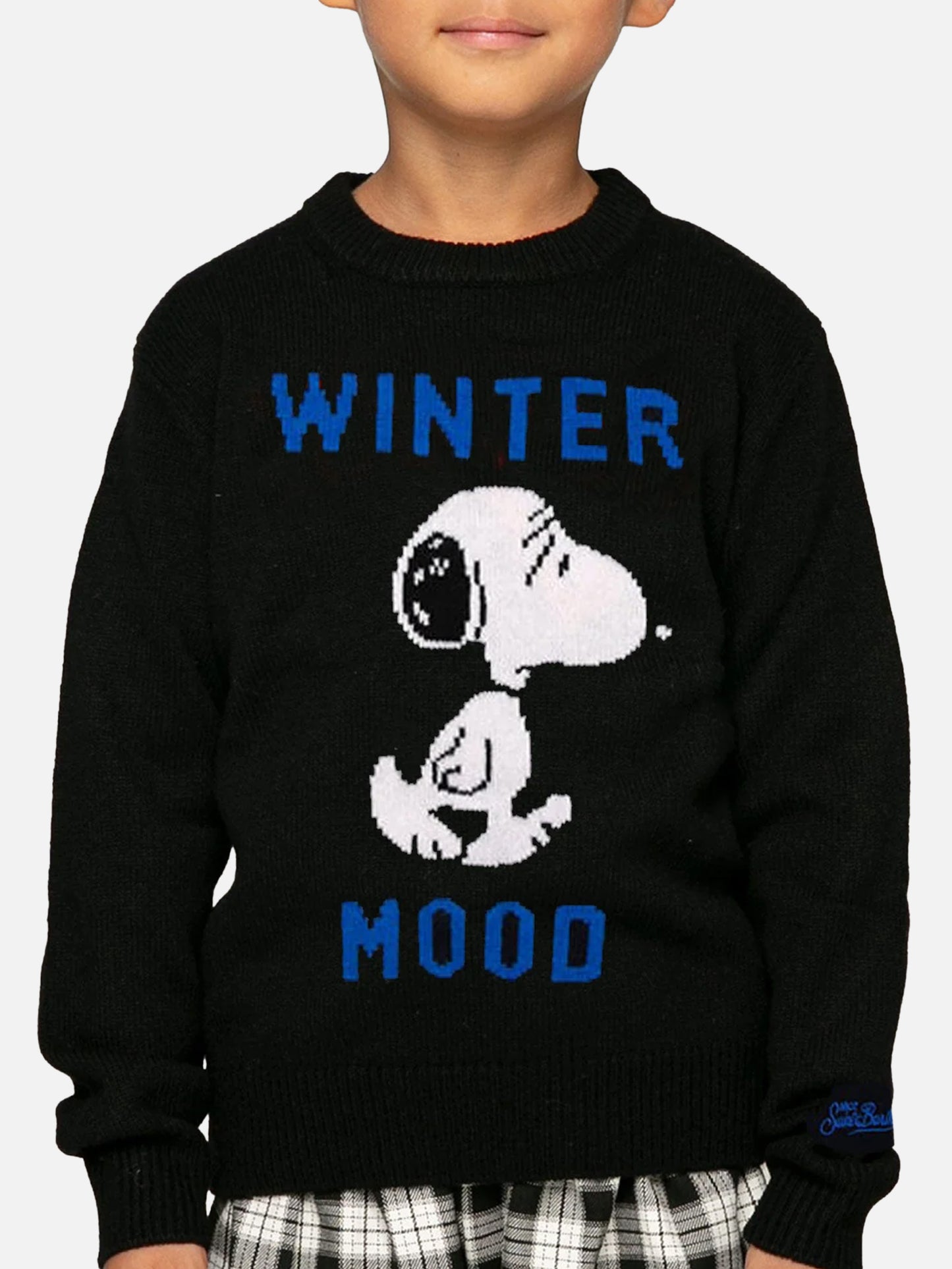 Blue navy Snoopy Winter mood sweater for boy - Special edition