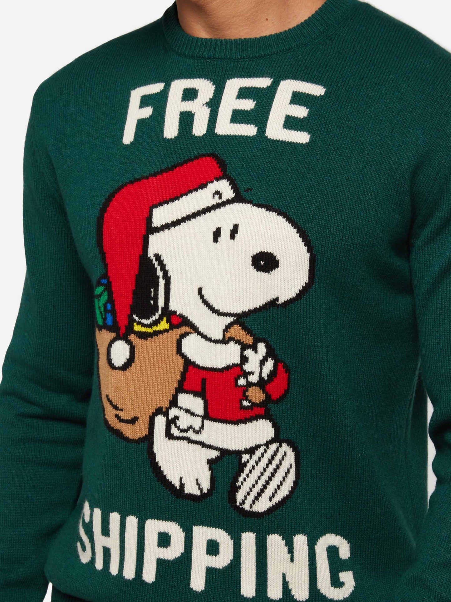 Green sweater Heron with Snoopy jacquard | SNOOPY PEANUTS® SPECIAL EDITION - MC2 Saint Barth