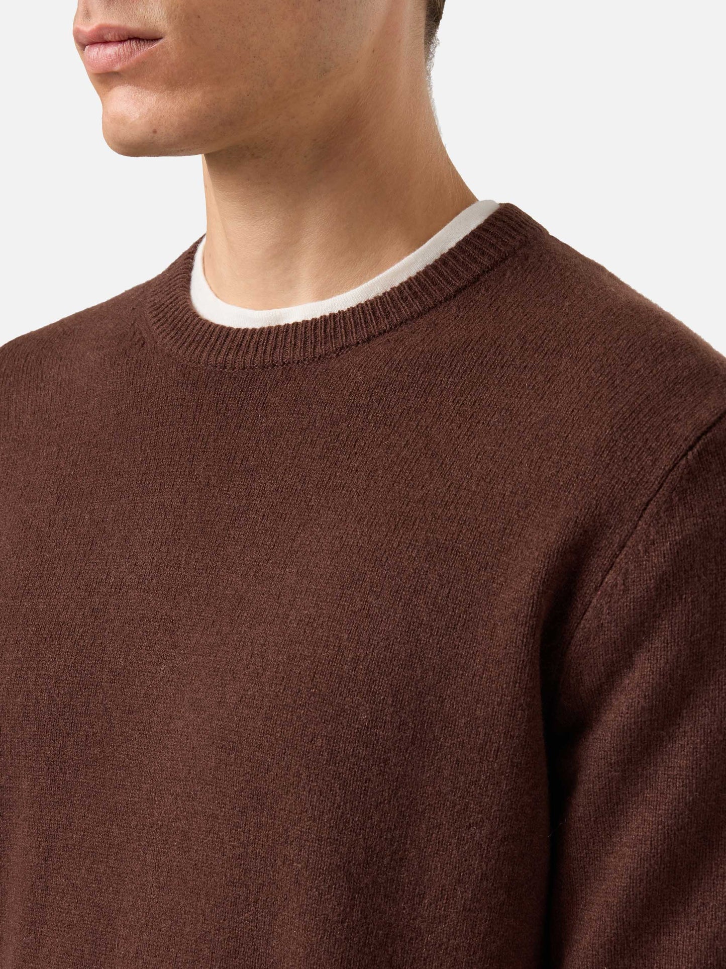 Regent 100% lambswool sweater in brown