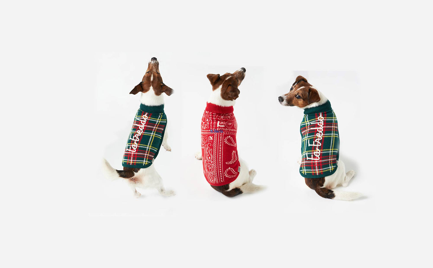 Furry Friends wardrobe