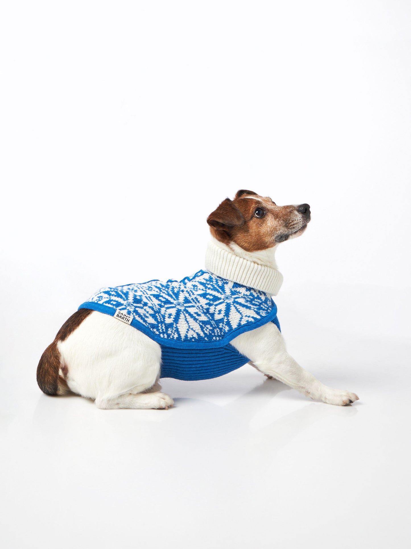 Maglioncino per cani con stampa nordica