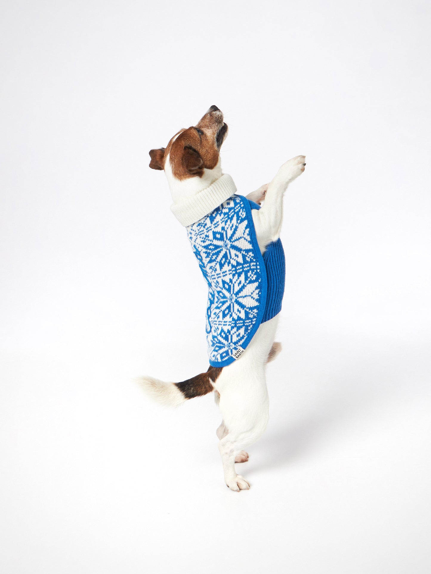 Maglioncino per cani con stampa nordica