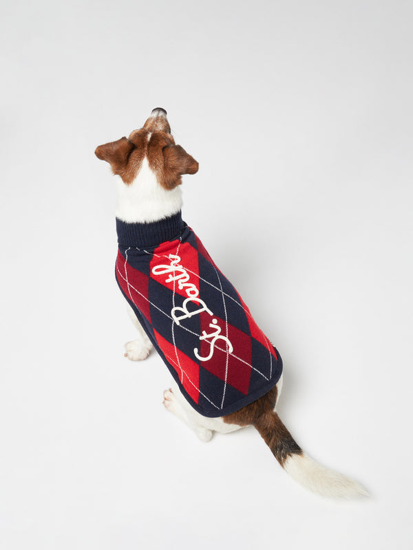 Hundepullover mit Argyle-Print