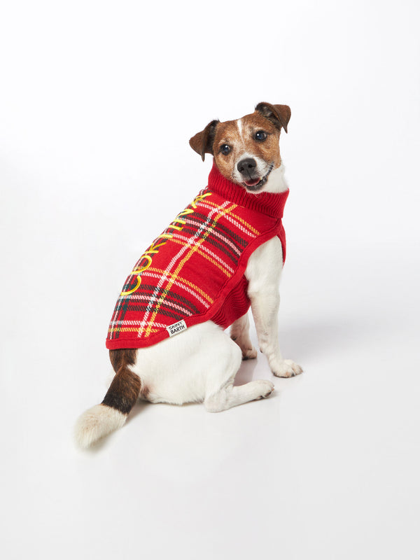 Dog sweater with Tartan print