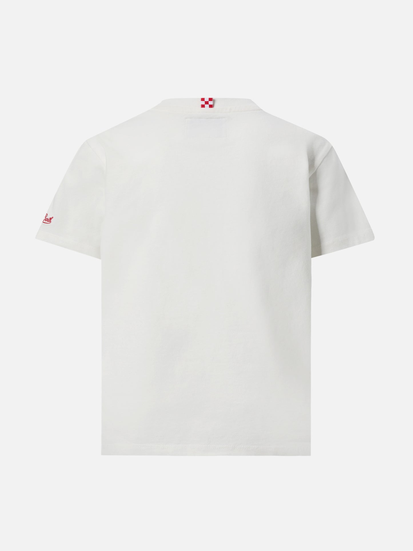 Heavy cotton t-shirt Cameron with skater dinosaur print