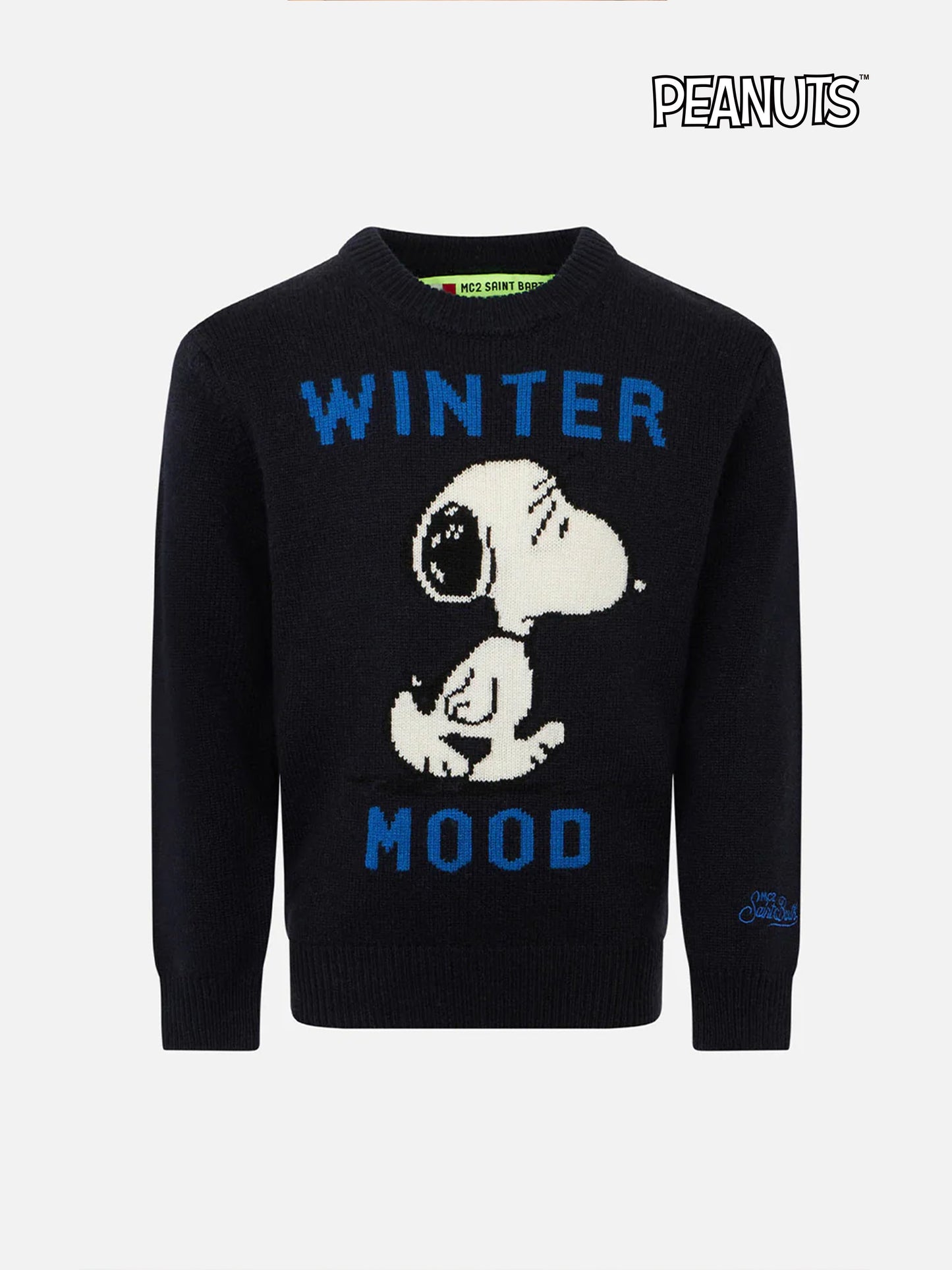 Blue navy Snoopy Winter mood sweater for boy - Special edition