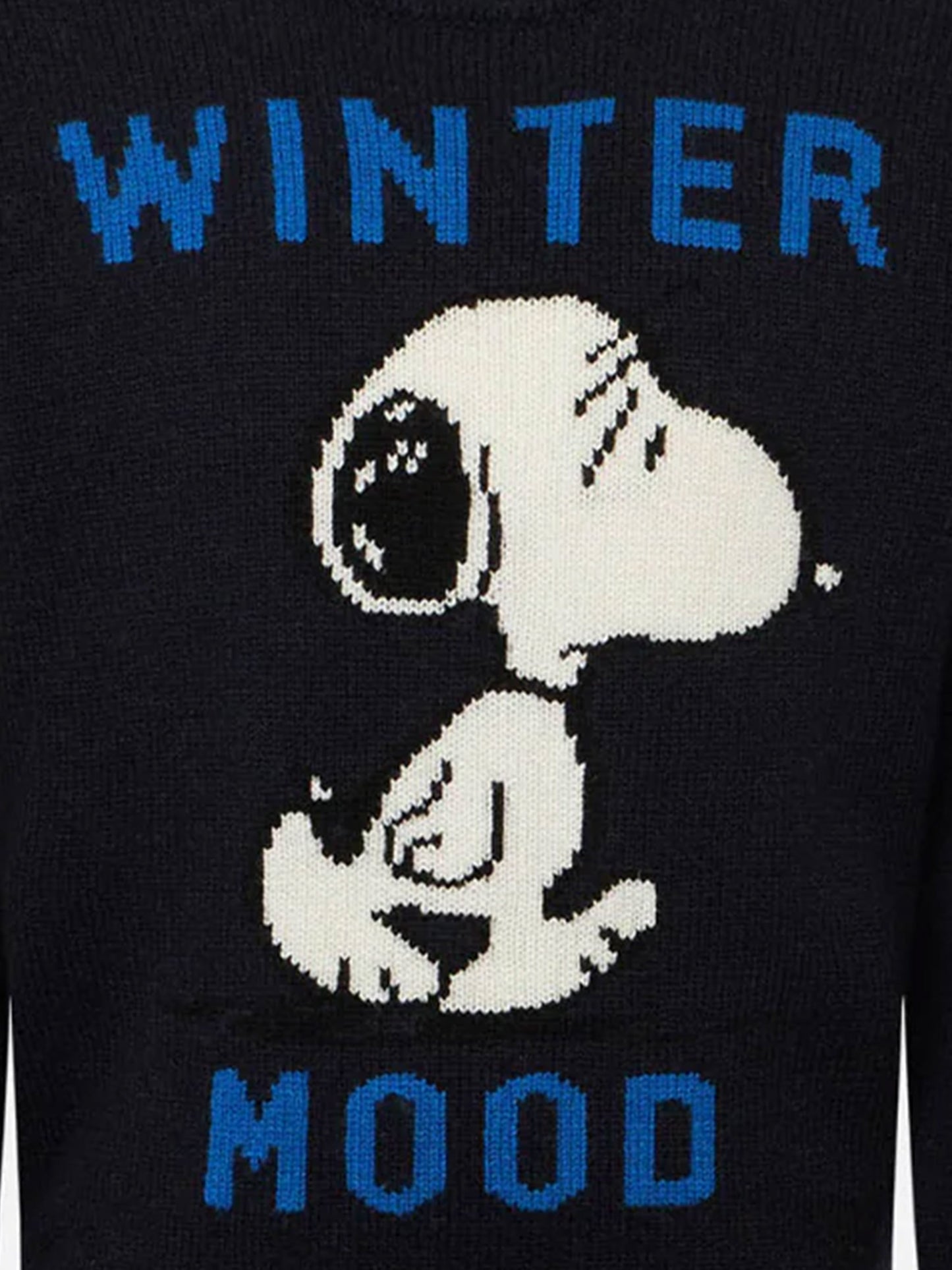 Blue navy Snoopy Winter mood sweater for boy - Special edition