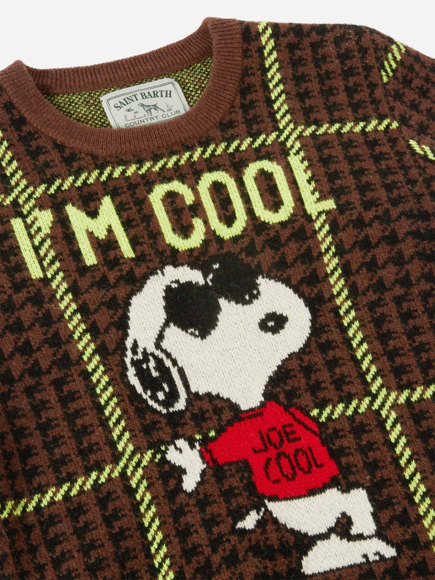 Crewneck Douglas with Snoopy jacquard | PEANUTS SPECIAL EDITION