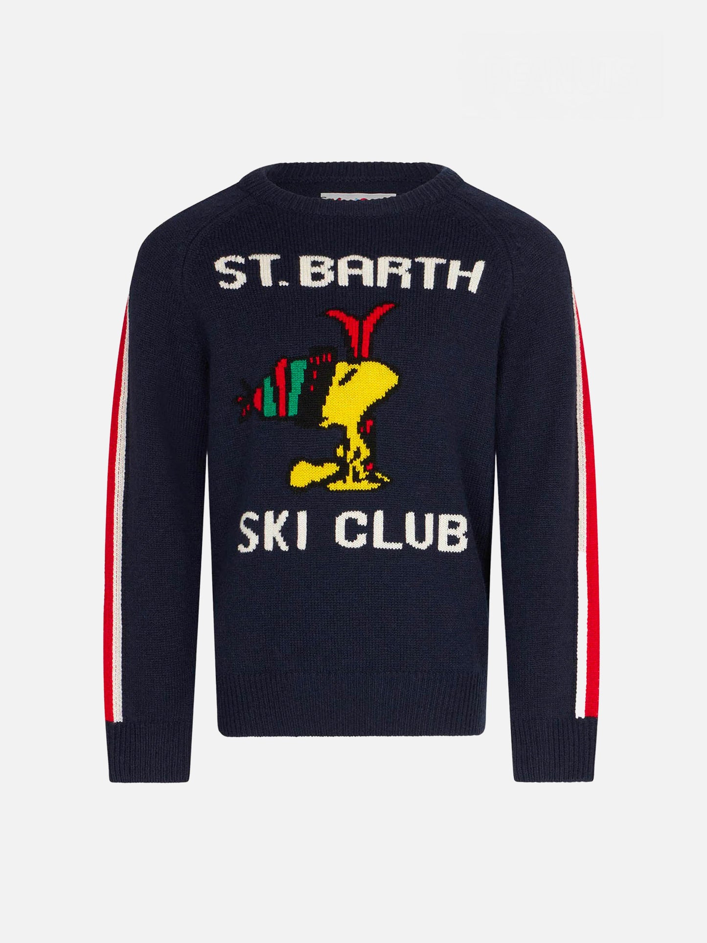 Rundhalspullover für Jungen mit Woodstock-Print | WOODSTOCK – PEANUTS™ SONDEREDITION