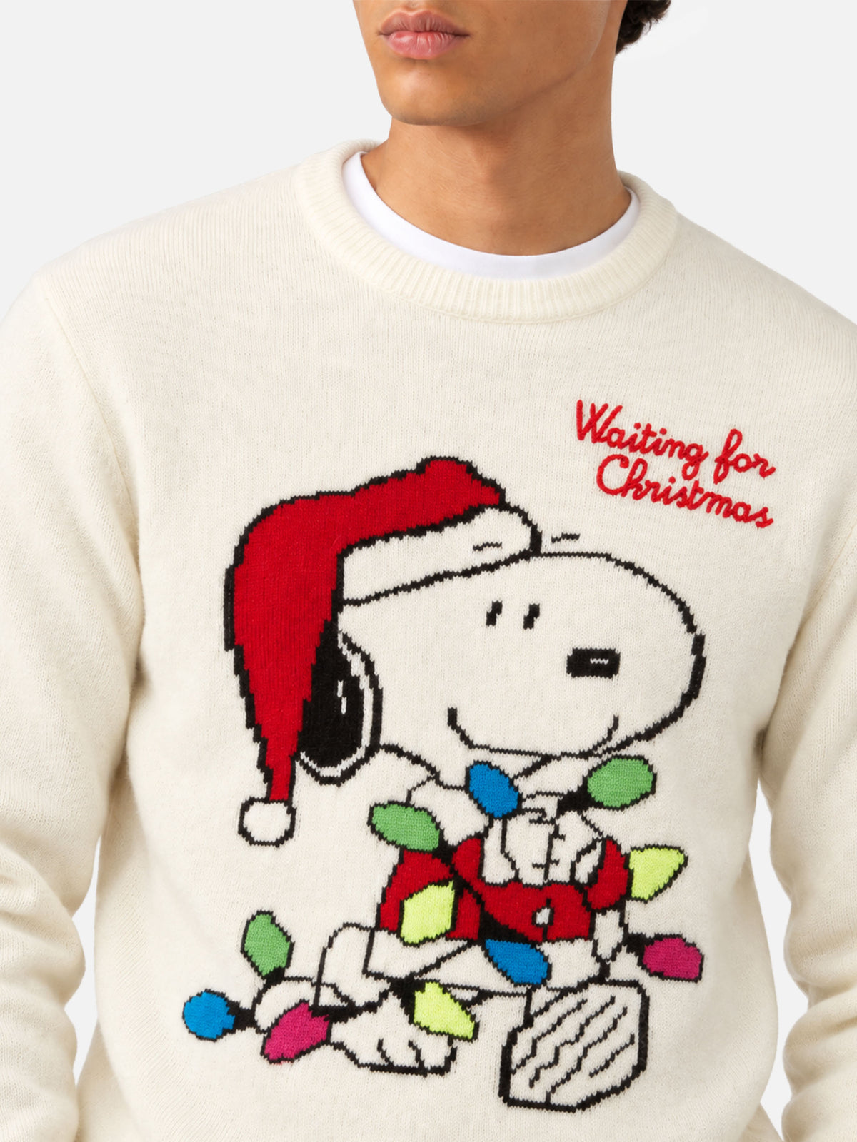 Off white Heron crewneck sweater with Snoopy jacquard | Special edition