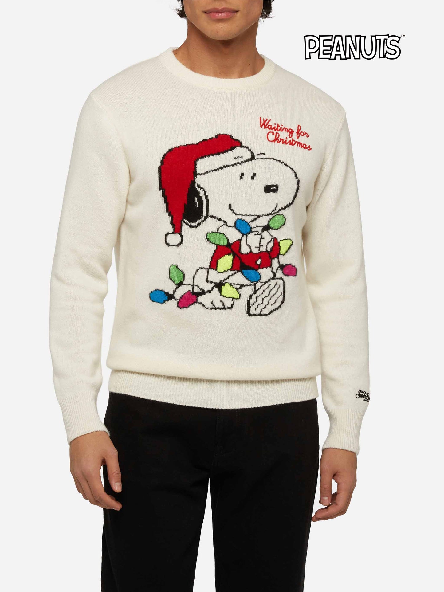 Sweater Heron with Snoopy jacquard and embroidery | SNOOPY PEANUTS® SPECIAL EDITION