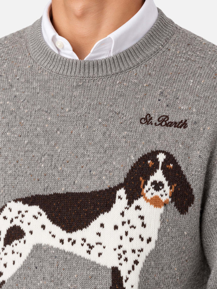 Pull pour chien Heron grey donegal 