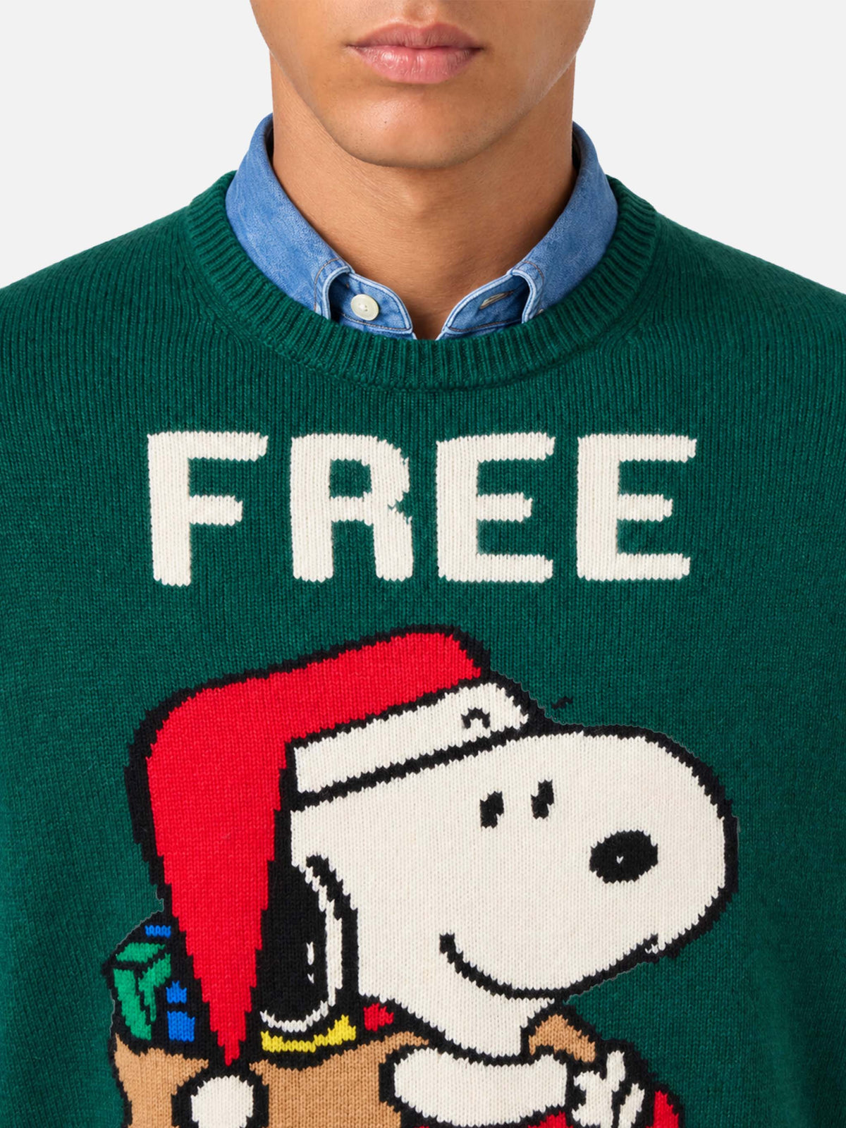 Jersey verde Heron con jacquard Snoopy | SNOOPY PEANUTS® SPECIAL EDITION 