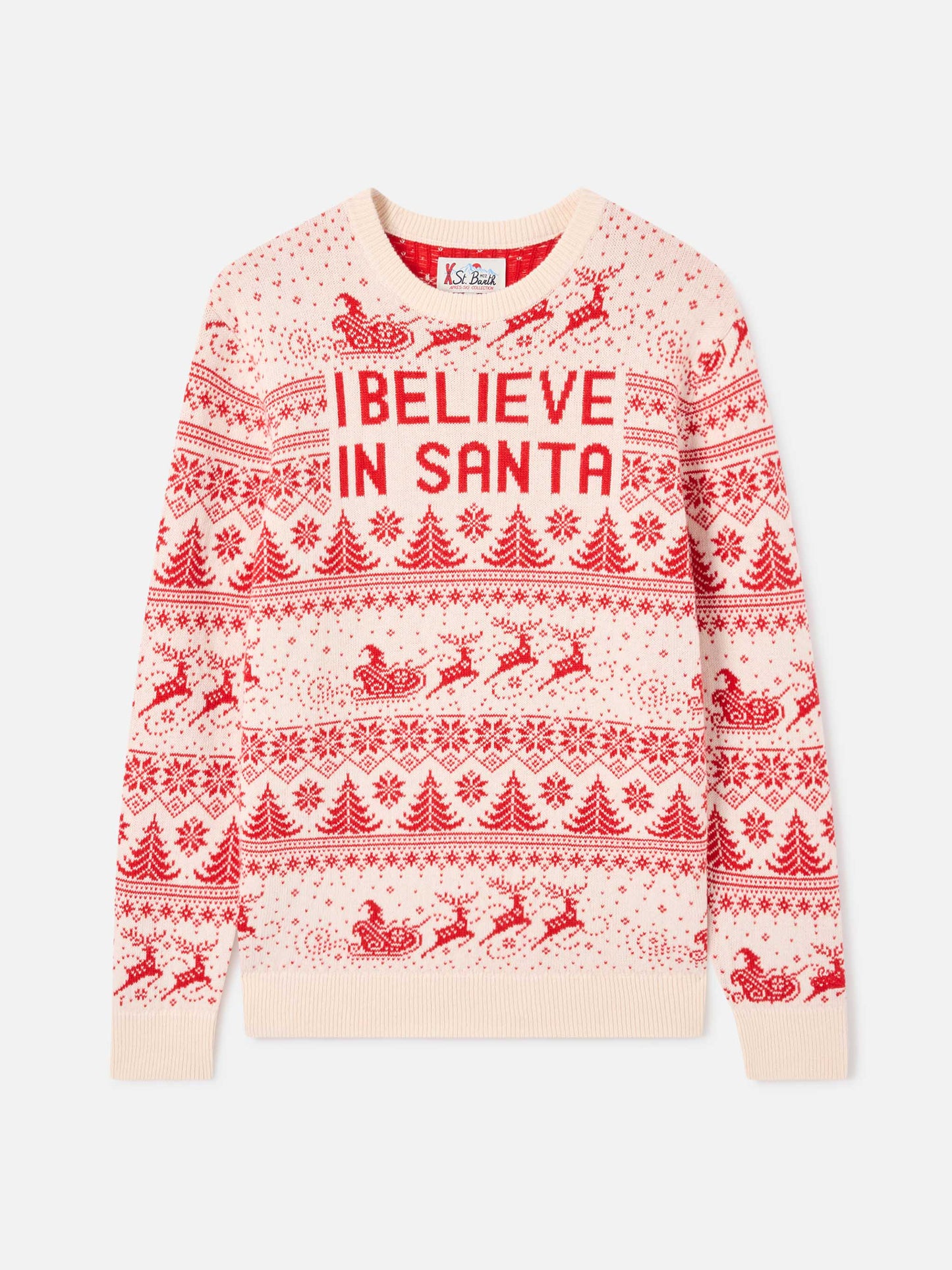 Heron I believe in Santa sweater