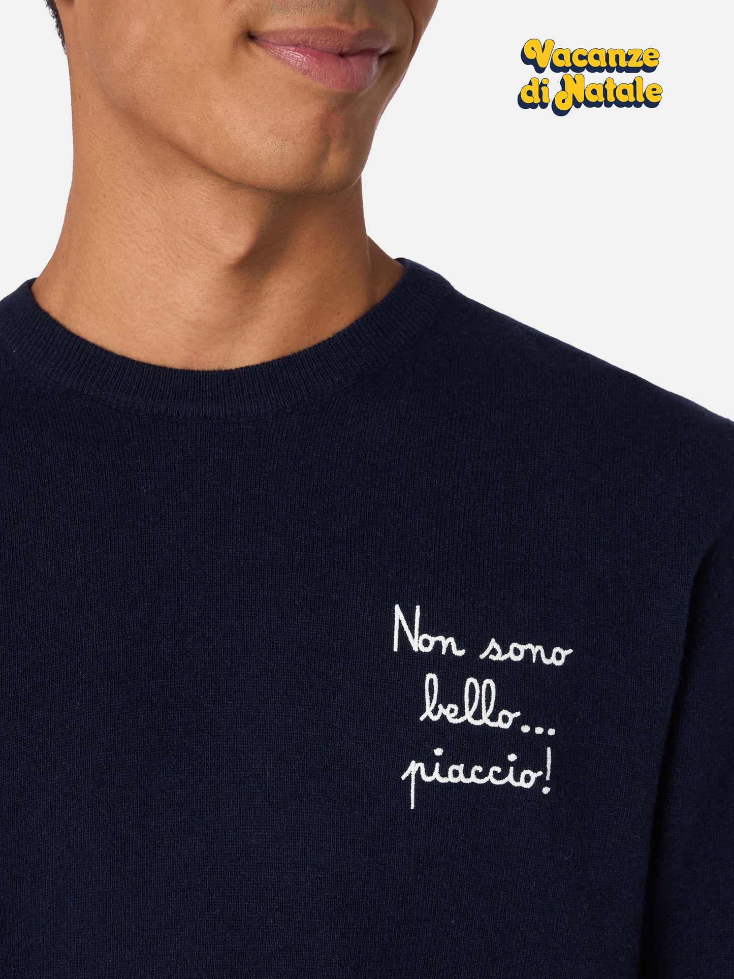 Crewneck sweater Heron Light with Non sono bello, piaccio! embroidery | VACANZE DI NATALE SPECIAL EDITION