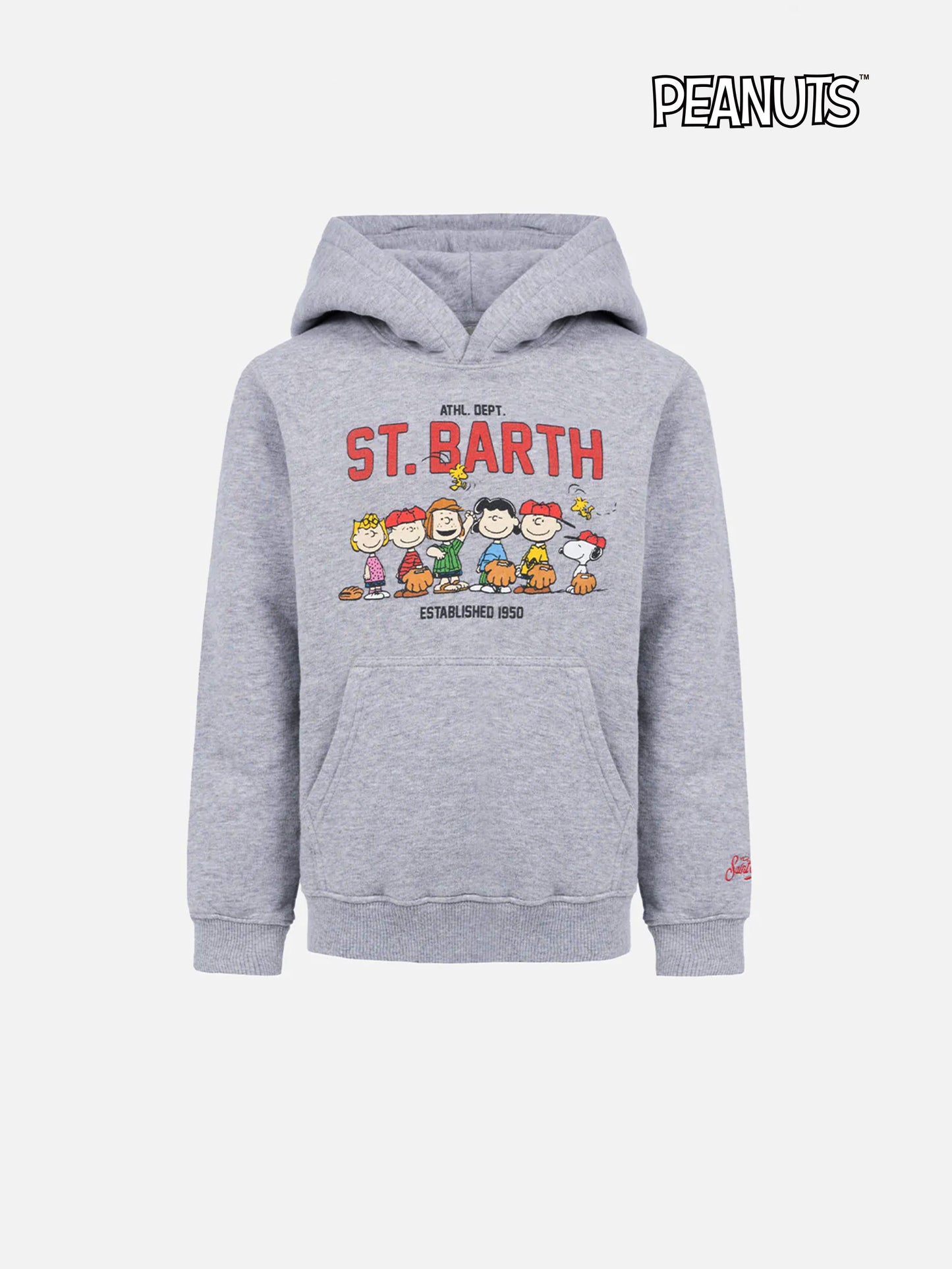 Graues Sweatshirt Oliver für Jungen mit Peanuts-Print | SNOOPY PEANUTS SPECIAL EDITION