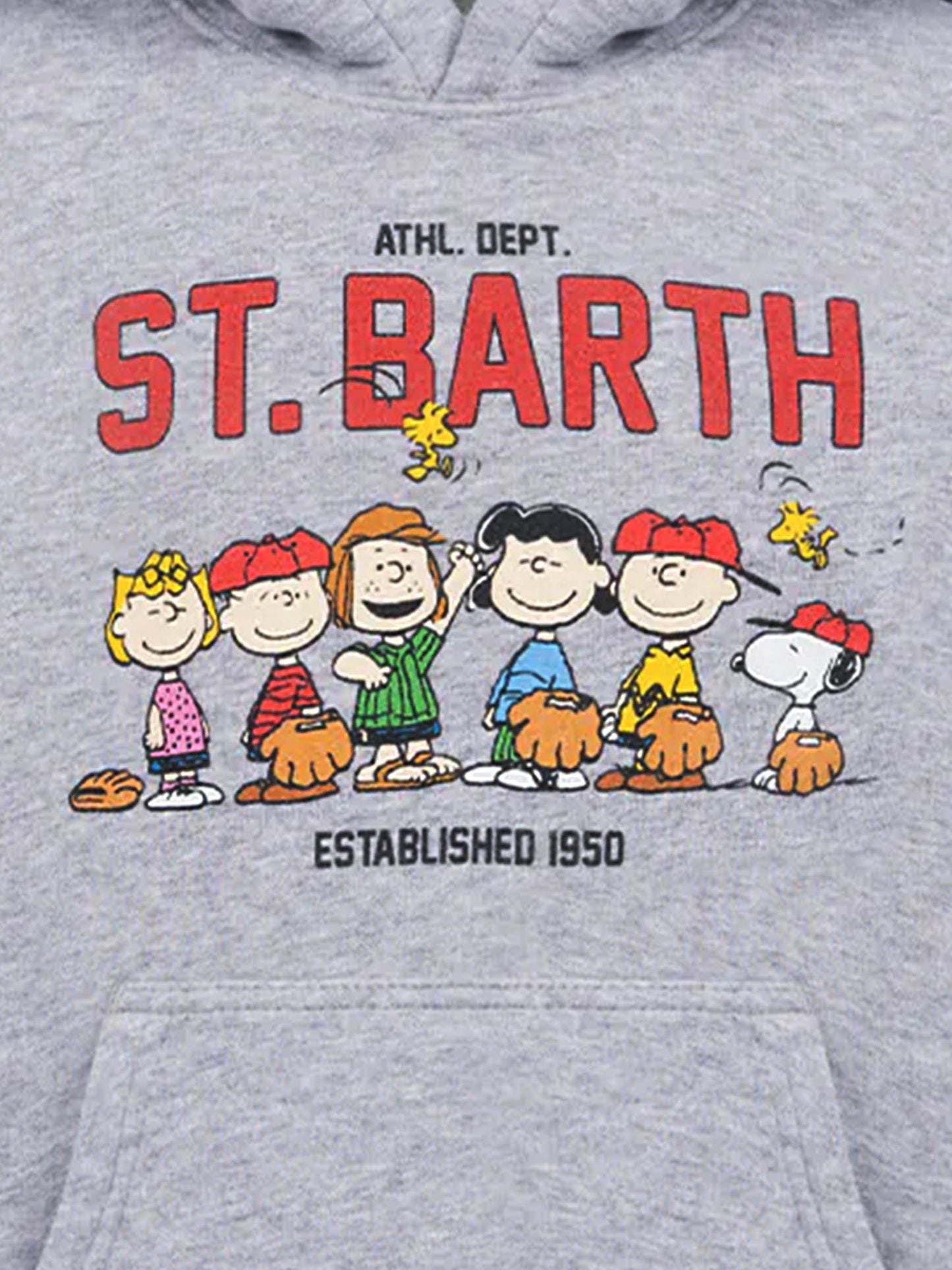 Graues Sweatshirt Oliver für Jungen mit Peanuts-Print | SNOOPY PEANUTS SPECIAL EDITION