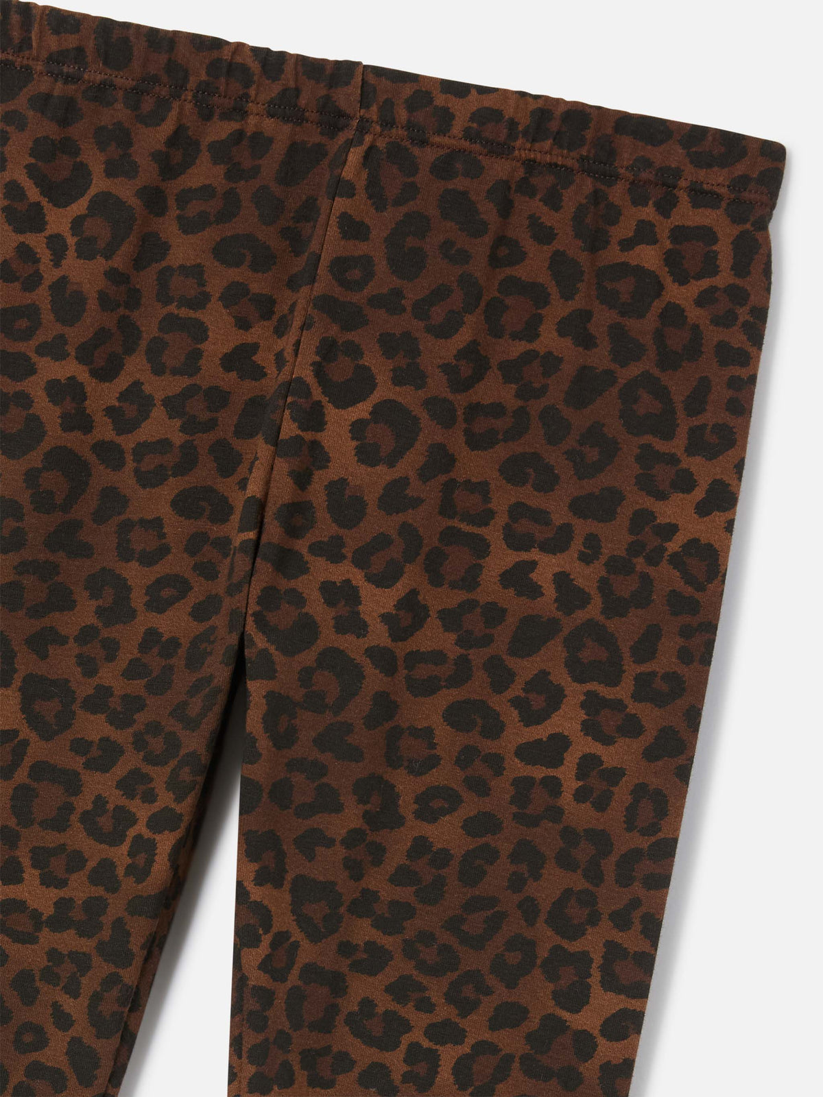Leggings Rosy de algodón marrón con estampado de leopardo 