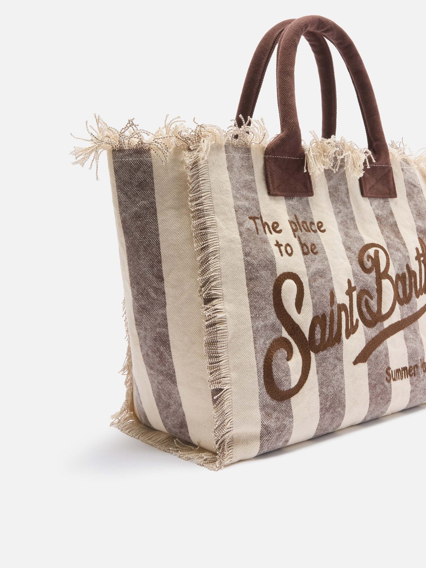 Brown canvas Vanity regular bag with vertical stripes