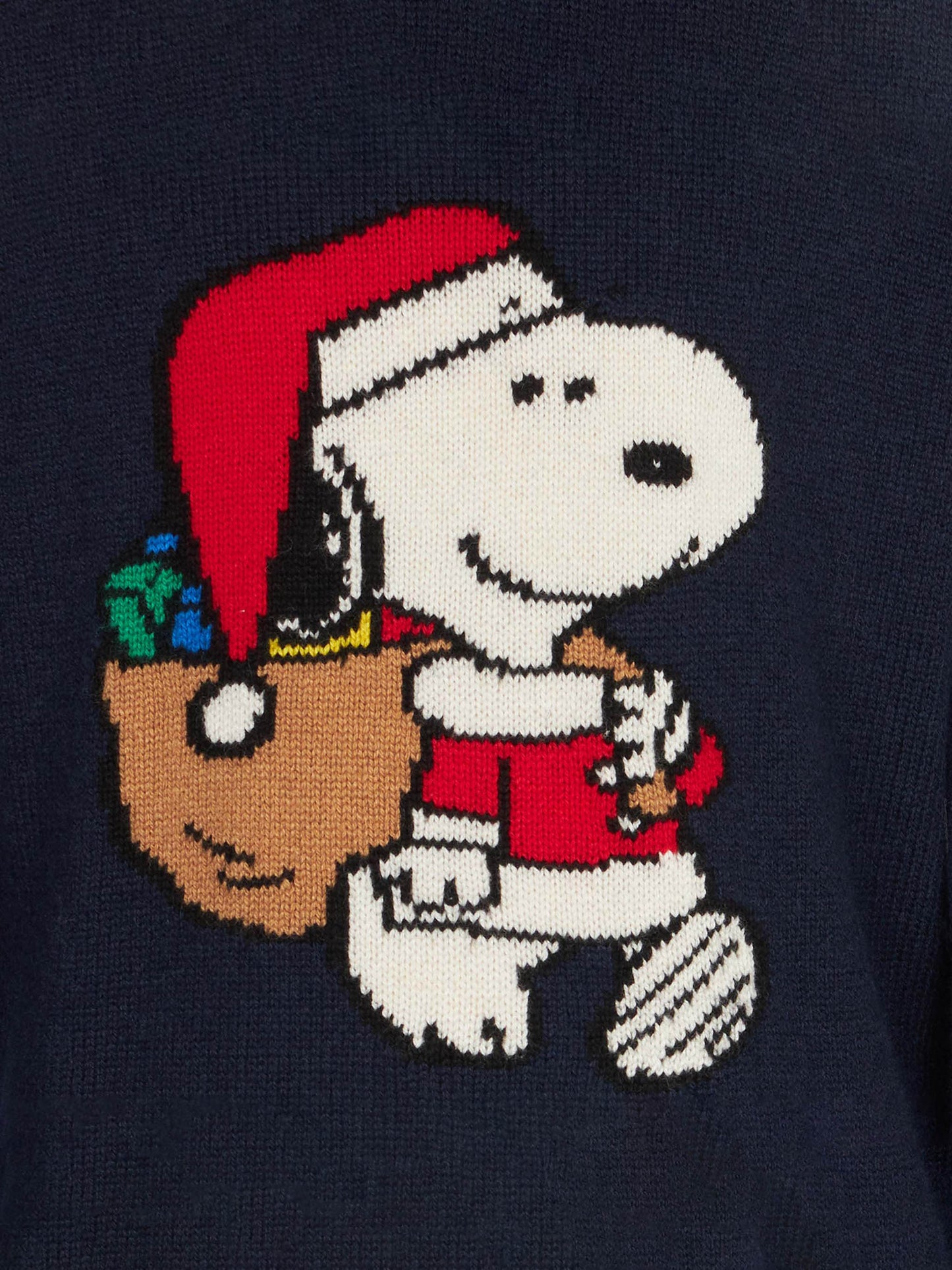 Maglione da bambino girocollo con stampa Snoopy natalizia | EDIZIONE SPECIALE PEANUTS™