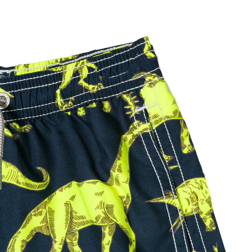 Boy swim shorts with dinosaur print