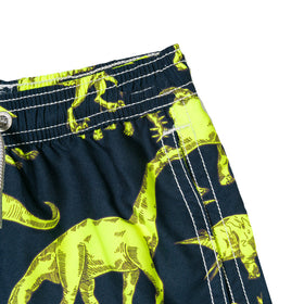 Boy swim shorts with dinosaur print