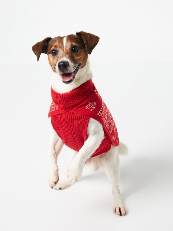 Maglia per cani con stampa bandana