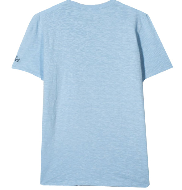 Dino surfer boy t-shirt